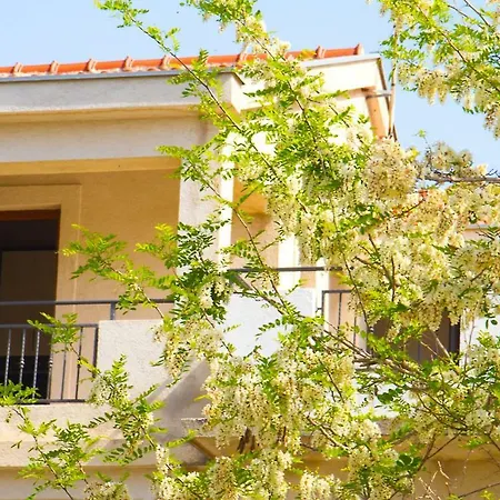 Apartament Toma *